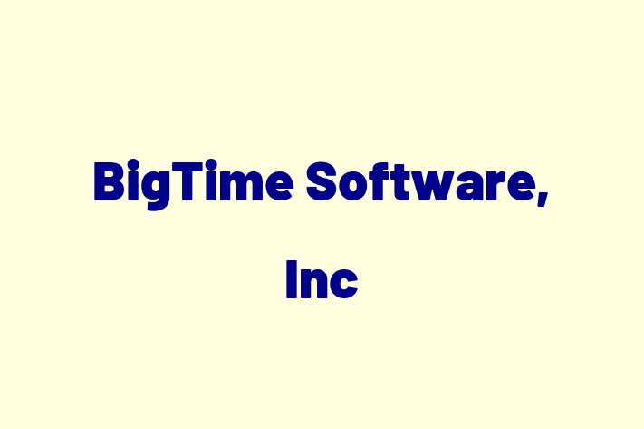 Tech Solutions Company BigTime Software Inc