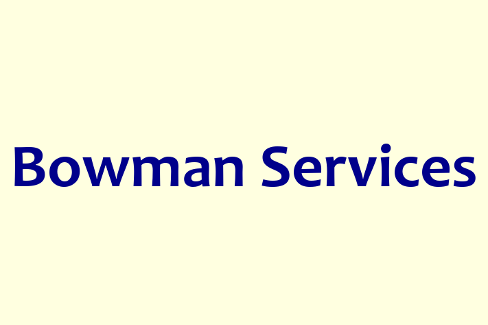 Technology Solutions Firm Bowman Services