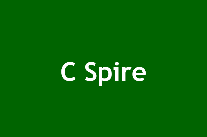 Software Development Firm C Spire