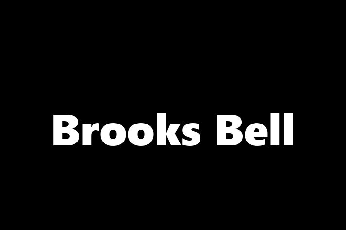 Software Solutions Provider Brooks Bell