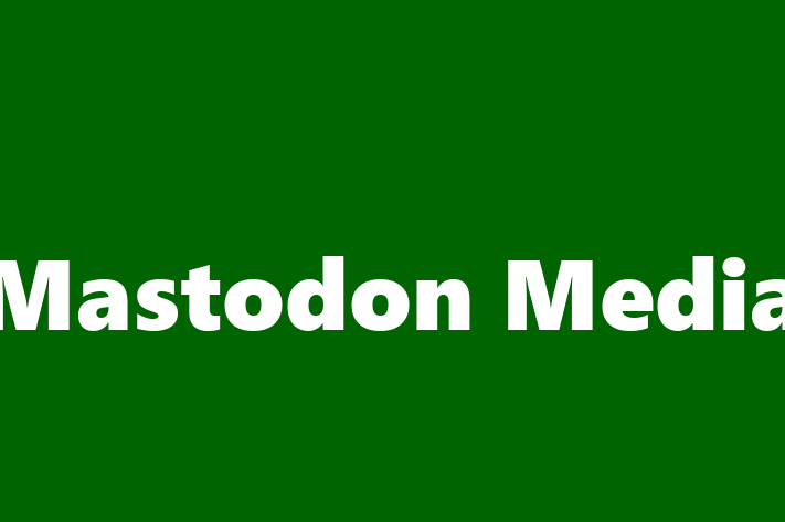 Technology Solutions Firm Mastodon Media