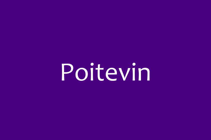 Poitevin Dog PuppiesKittens for Sale in Detroit