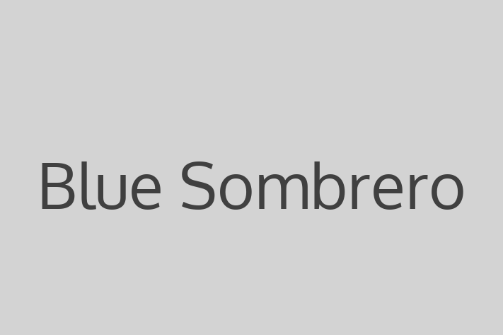 Software Engineering Company Blue Sombrero