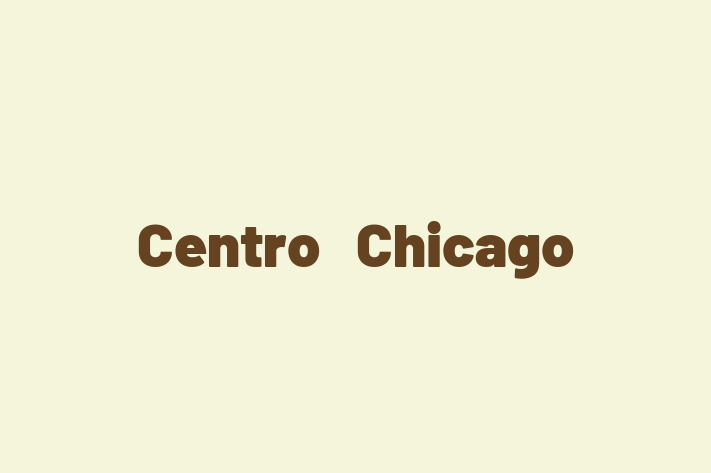 Software Services Company Centro   Chicago