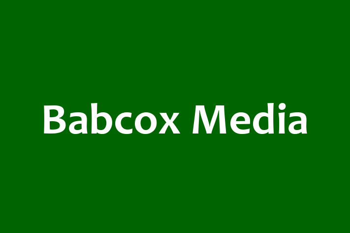 Human Resource Management Babcox Media