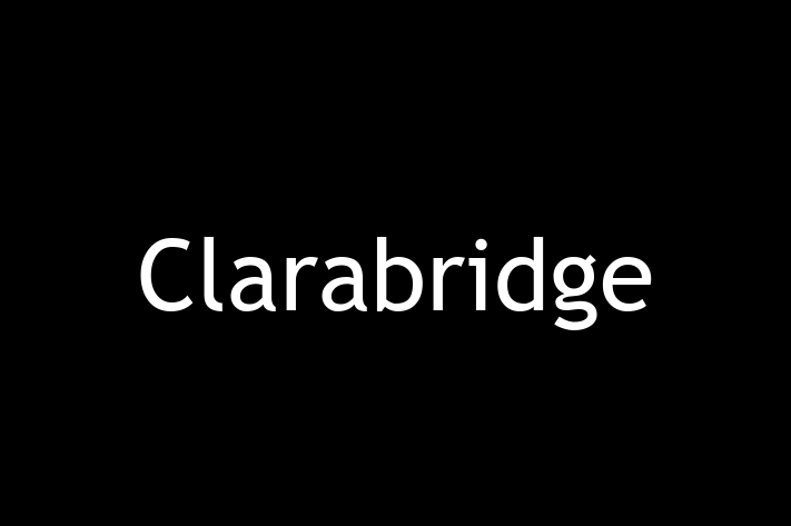 Digital Solutions Provider Clarabridge