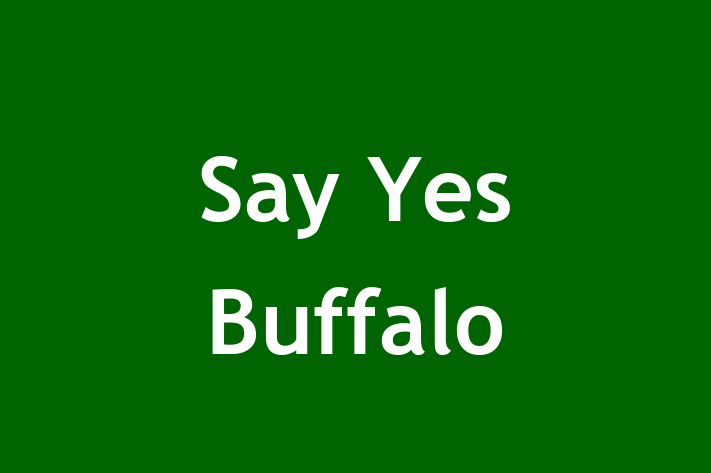 Staff Management Say Yes Buffalo