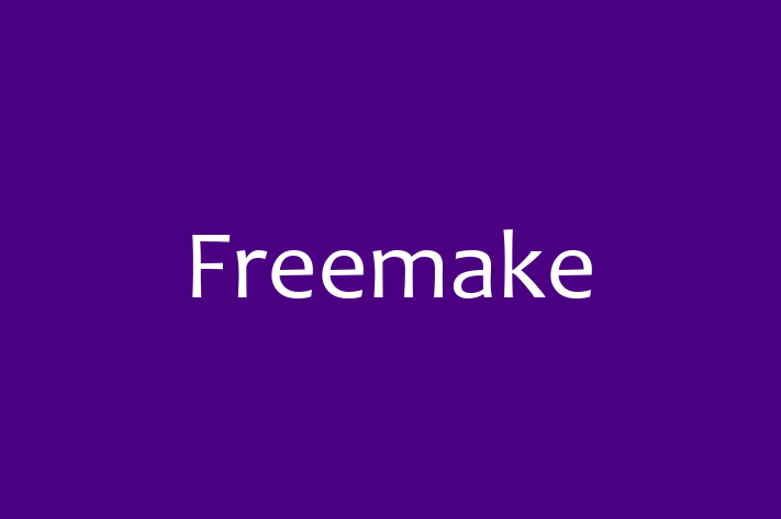 IT Company Freemake