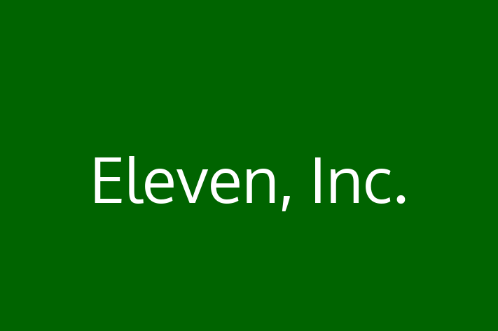 Tech Solutions Company Eleven Inc.