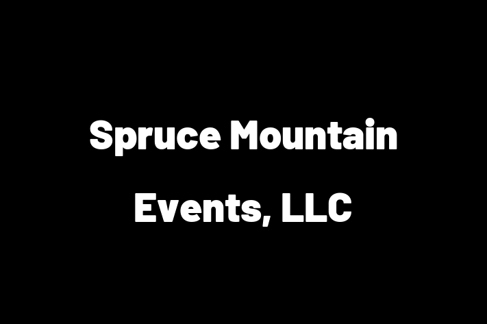 IT Company Spruce Mountain Events LLC