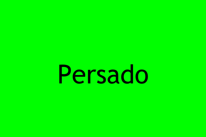 Application Development Company Persado