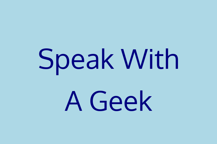 Digital Solutions Provider Speak With A Geek