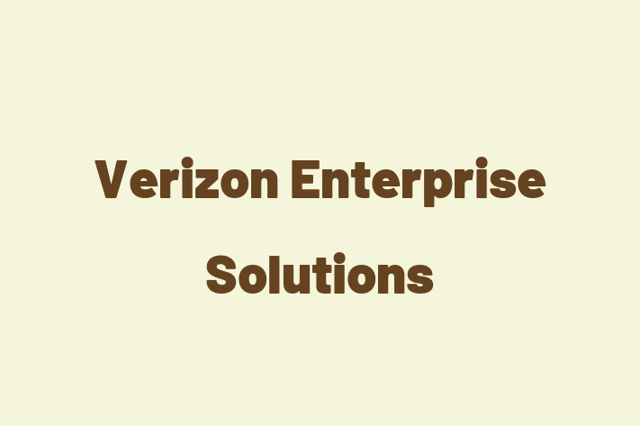 Software Services Company Verizon Enterprise Solutions