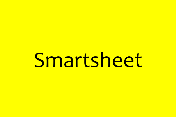 Software Consultancy Smartsheet