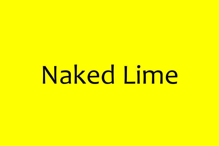 Software Engineering Company Naked Lime