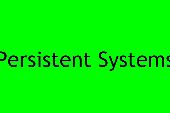 Tech Solutions Company Persistent Systems