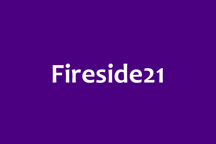 IT Company Fireside21