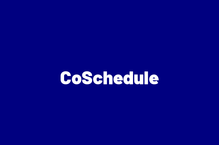 Tech Solutions Company CoSchedule