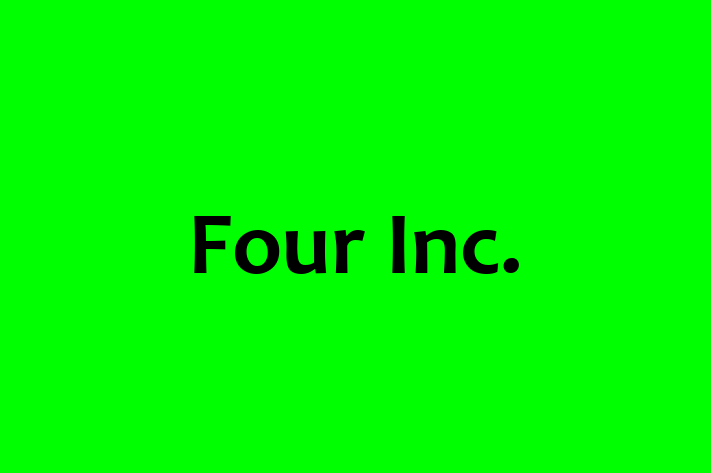 Software Development Company Four Inc.