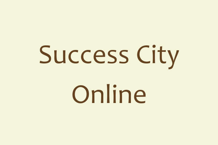 IT Company Success City Online