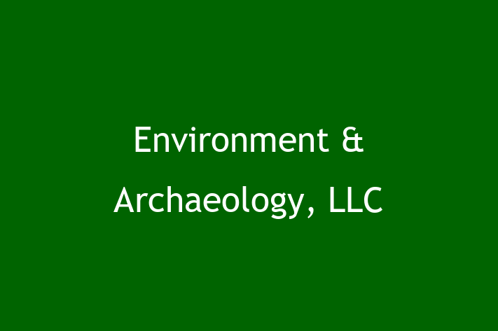 Technology Solutions Firm Environment  Archaeology LLC