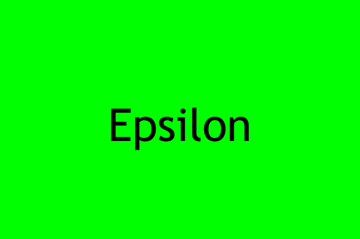 Application Development Company Epsilon