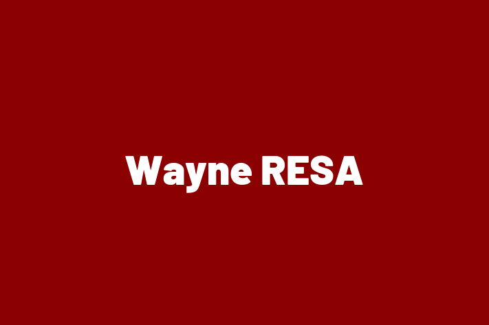 Digital Solutions Provider Wayne RESA