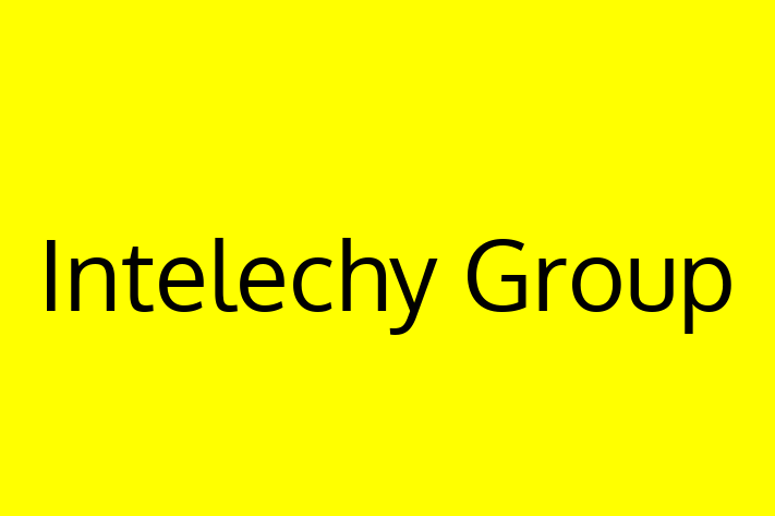 Software Development Firm Intelechy Group