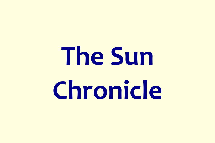 Digital Solutions Provider The Sun Chronicle