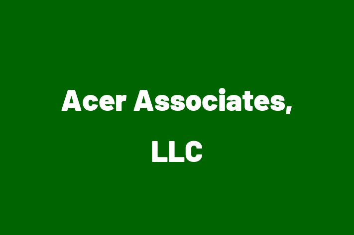 Software Services Company Acer Associates LLC