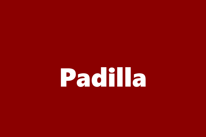 Tech Solutions Company Padilla