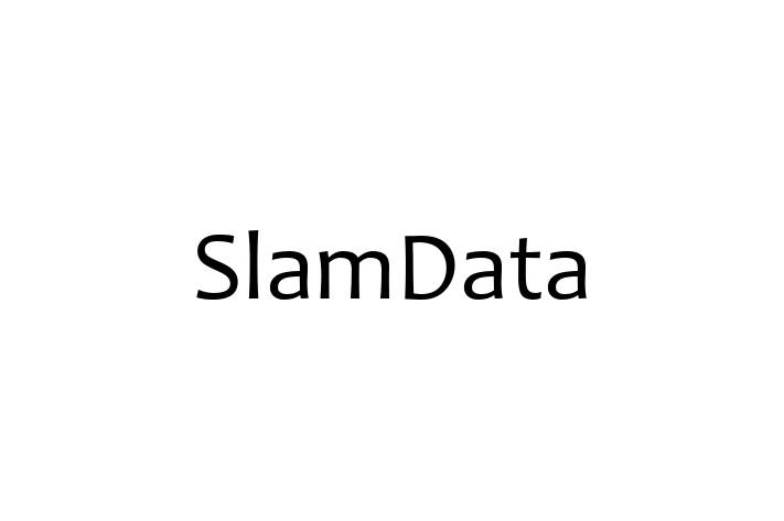 Software Development Company SlamData