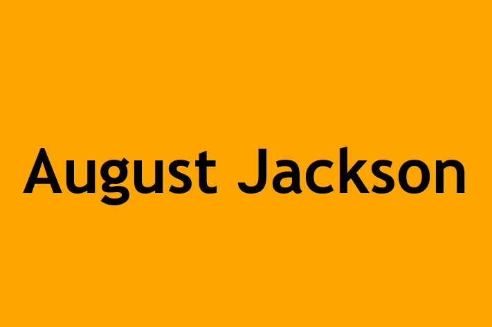 Software Engineering Company August Jackson