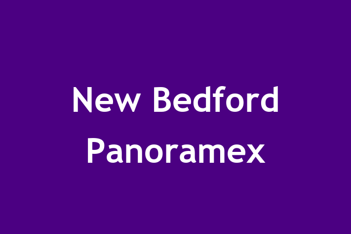 Staff Management New Bedford Panoramex