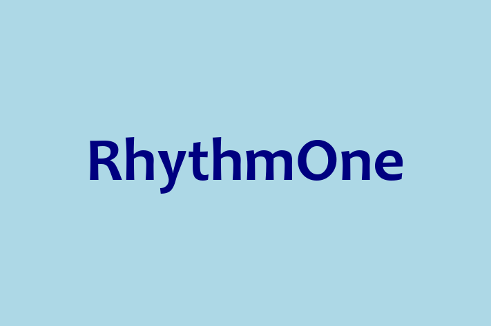 Software Development Company RhythmOne