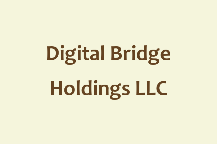 Software Solutions Provider Digital Bridge Holdings LLC