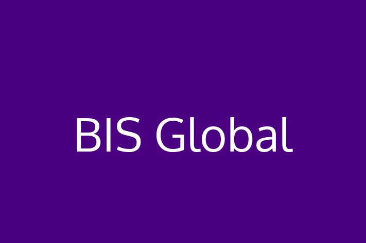 Technology Solutions Firm BIS Global