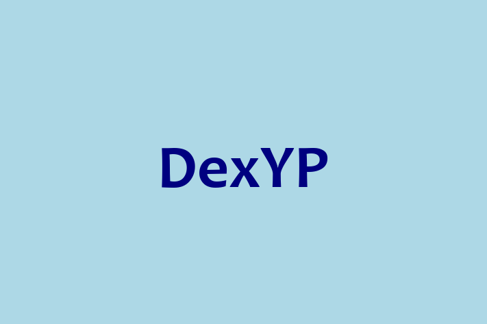 Software Solutions Provider DexYP