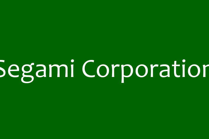 IT Company Segami Corporation