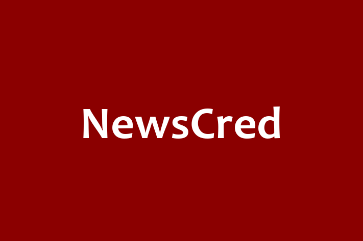 Software Consultancy NewsCred