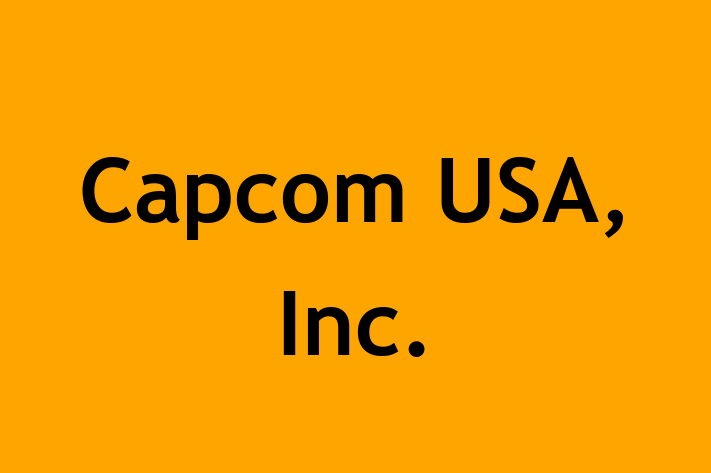 Digital Solutions Provider Capcom USA Inc.