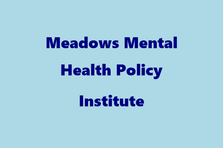 Human Capital Management Meadows Mental Health Policy Institute