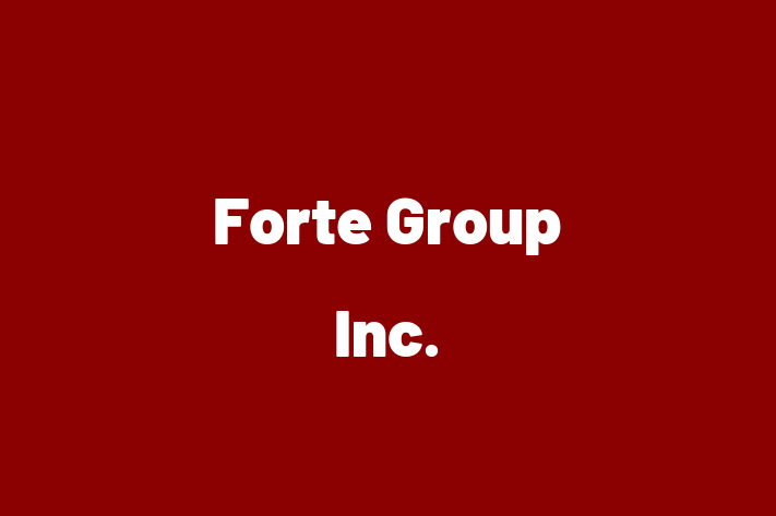 Tech Solutions Company Forte Group Inc.