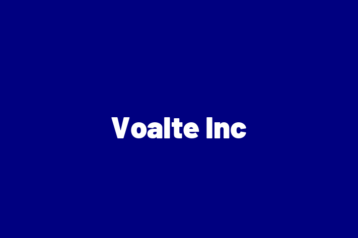 IT Company Voalte Inc