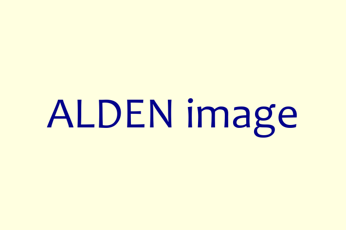 Software Firm ALDEN image