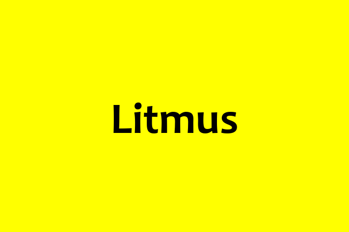 Technology Solutions Firm Litmus