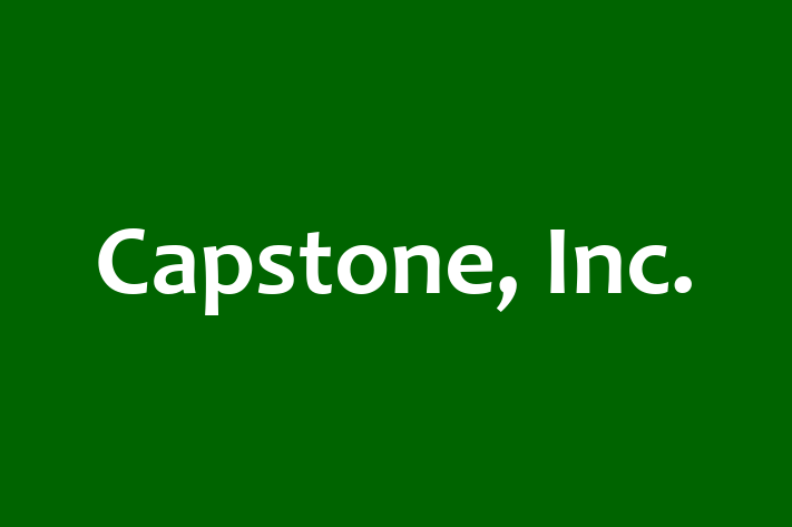 Employee Relations Capstone Inc.