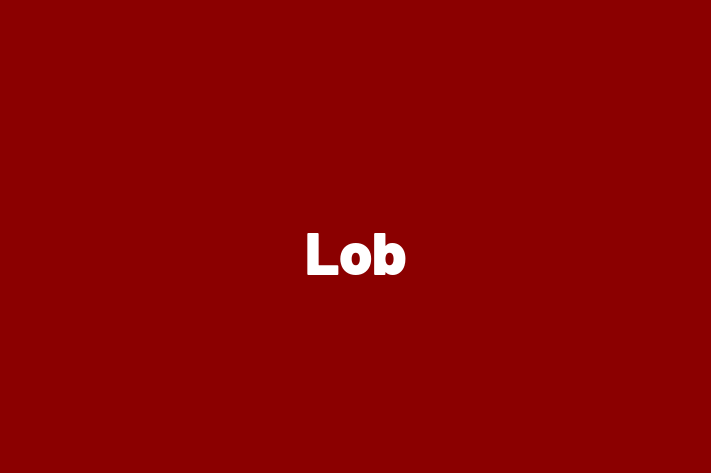 Software Consultancy Lob