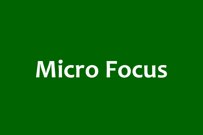 Technology Solutions Firm Micro Focus