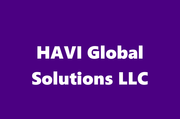 Software Development Company HAVI Global Solutions LLC